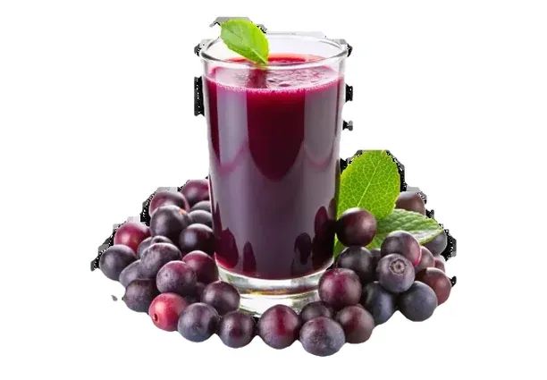 Falsa Shots (2pcs)